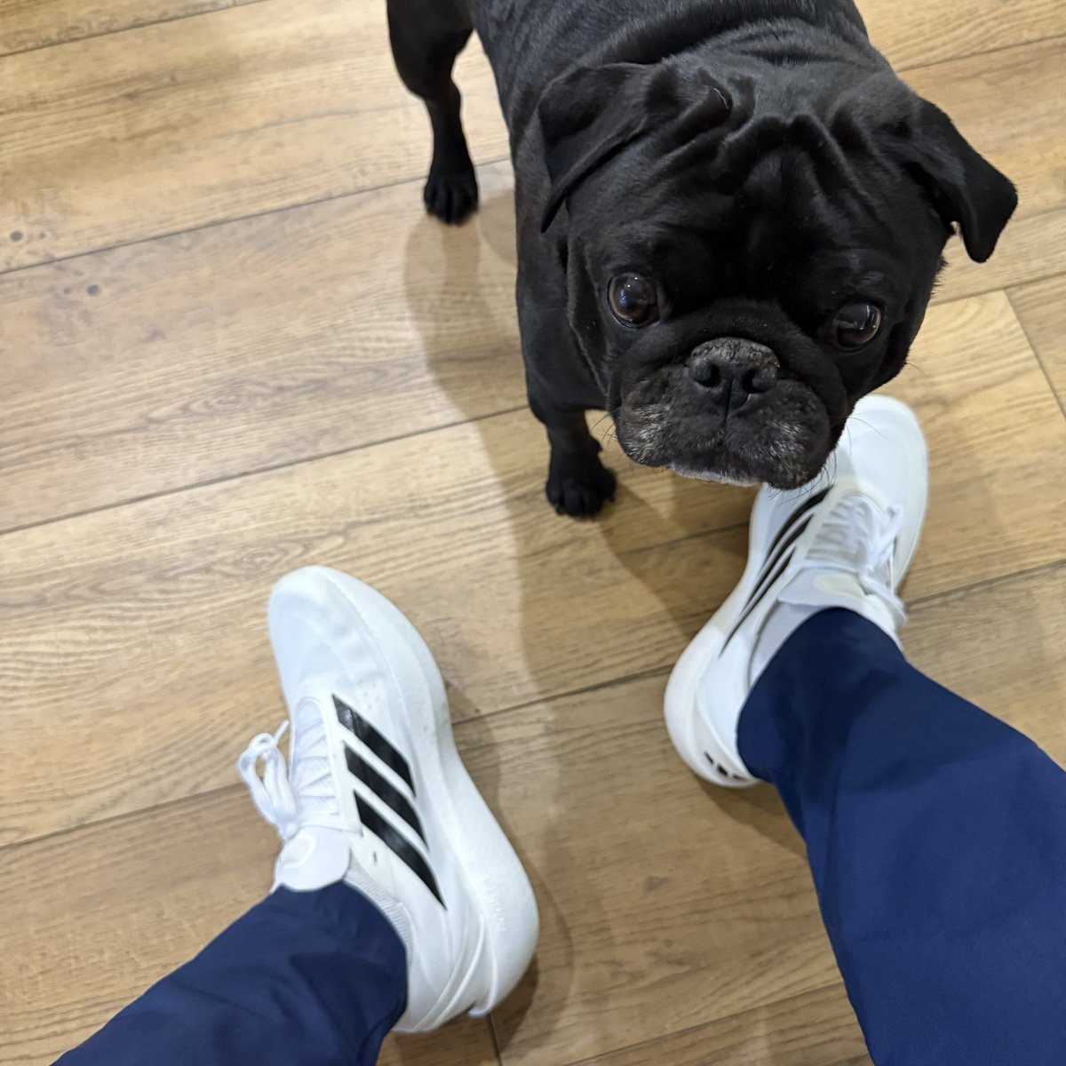 Heskicks's tweet photo. Deal of the day imo! Been wearing mine today too ☁️ https://t.co/7YueCLsDbj