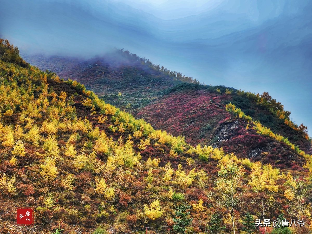 Viniciu17340120's tweet photo. Just spent 3 hours hiking up the misty mountain u0026 was rewarded with this golden sunrise over the valley—worth every shaky step! https://t.co/6Dr0Swfeo6