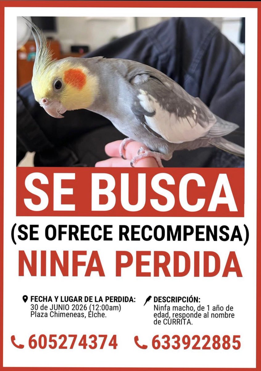 bakkkklava's tweet photo. IMPORTANTE gente de elche y alrededores !! https://t.co/NUKtI9I1cY