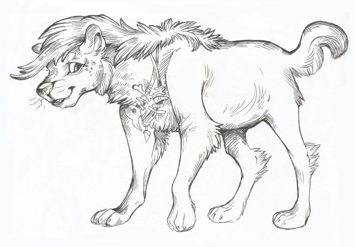 Taski_Guru's tweet photo. Line art of fantasy feline ocs characters (closed) #lineart #mix #bobcatoc #line_art #lynxoc #caracaloc #hyenaoc https://t.co/IIraFcAgaN