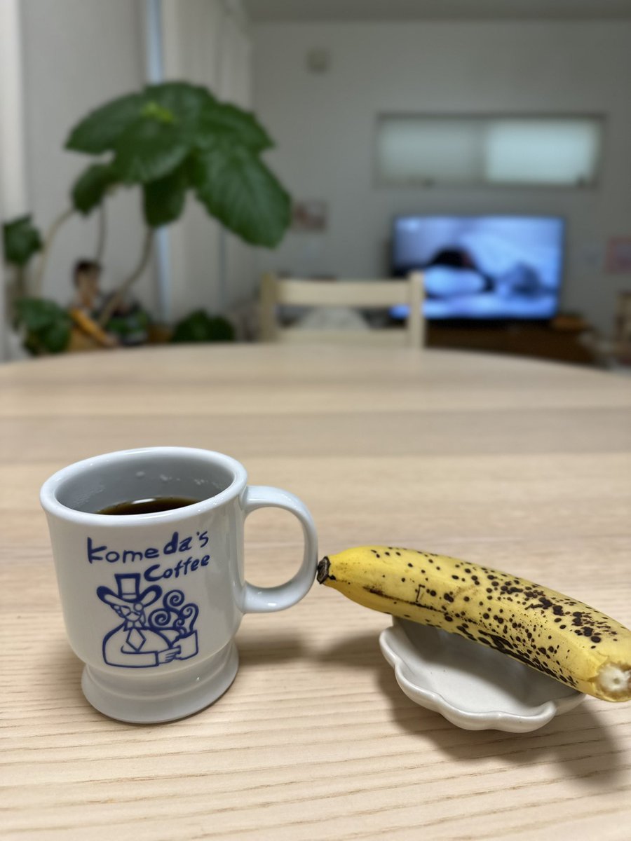 marongrii's tweet photo. 食べようとしたフランスパンはマロンに盗まれました。
ふにゃふにゃのバナナが朝ごはんです https://t.co/QusepJnnkS
