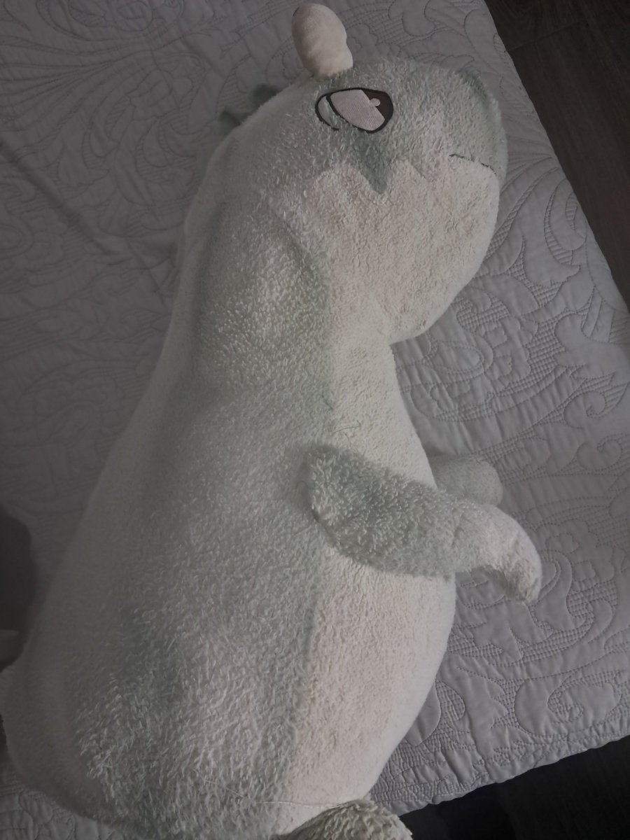 Kuma_sama_VT's tweet photo. @soryurin Aquí está el dinosaurio que me acompaña contra Morfeo https://t.co/IqdJnWoGol