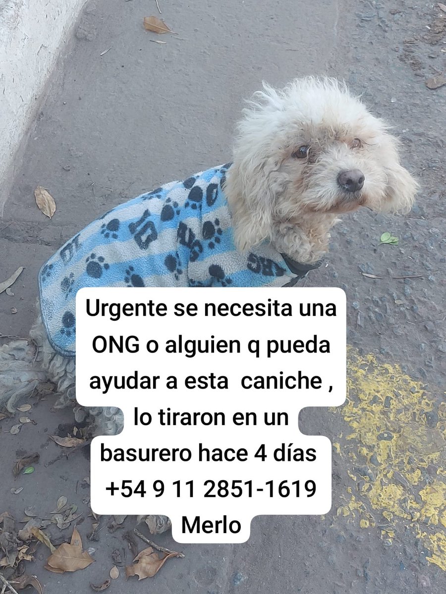patripeyrou's tweet photo. Rt
Ayuda urgente https://t.co/npa8K5xEz4