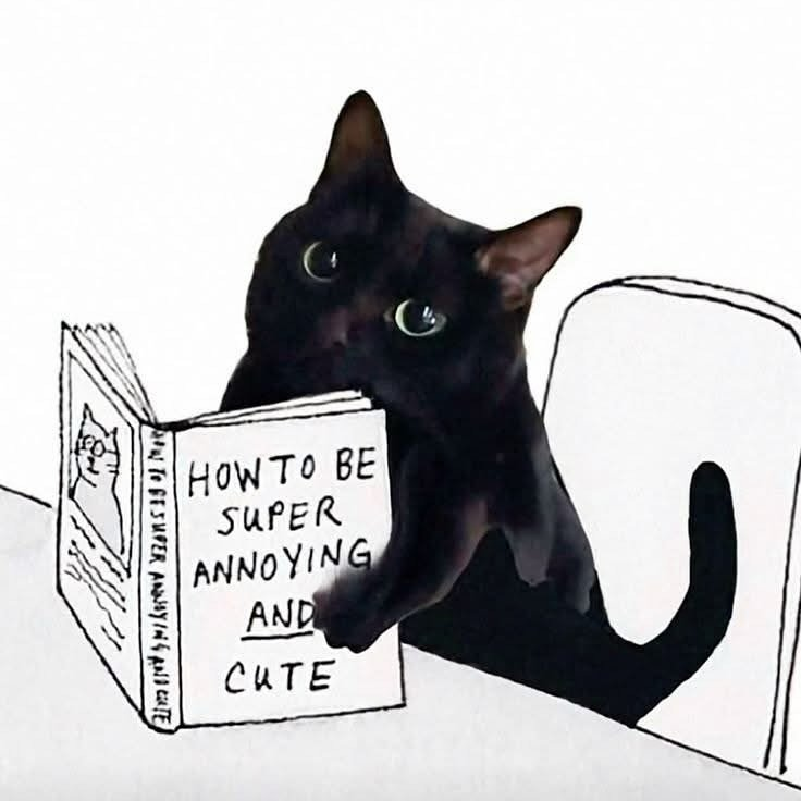 BlackcatBitcoin's tweet photo. https://t.co/vj8PCFofpb