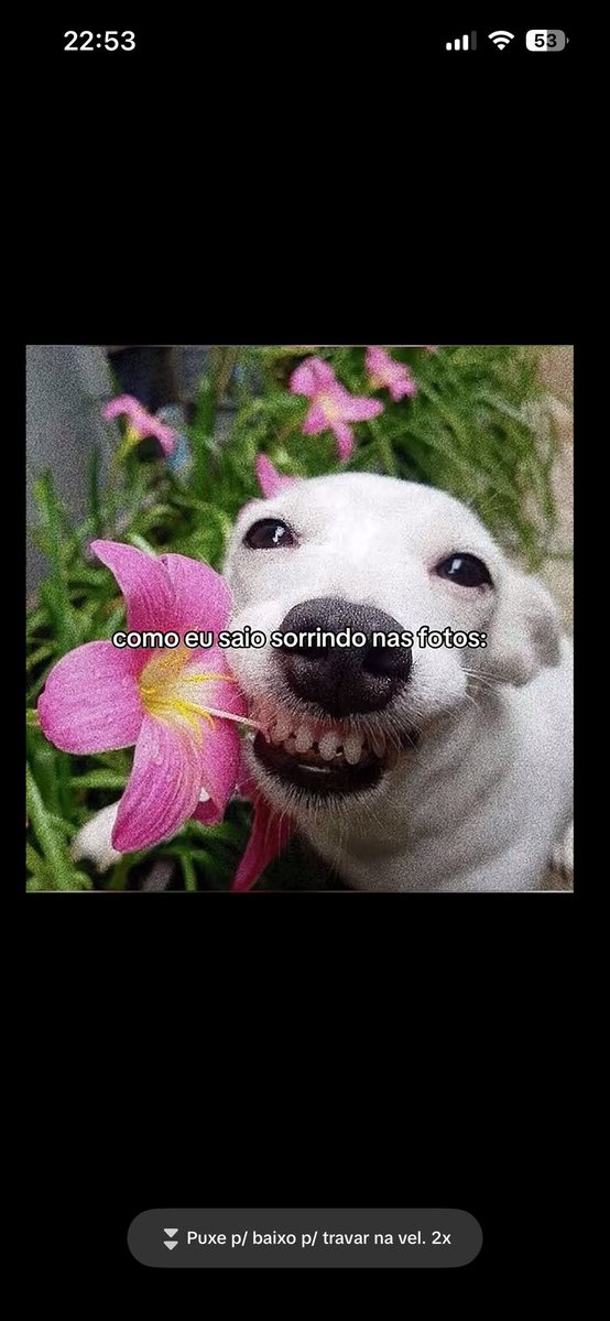 eu_kyky's tweet photo. @UmFilosofoCitou https://t.co/9i914VbndI