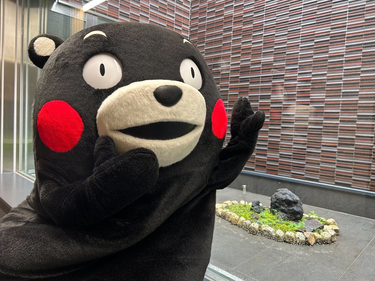 keitohi's tweet photo. @55_kumamon もんちゃん♥️おはくま〜☂️
今日は、すごい雨だよ〜☂️
今日も、よろしくま〜🌼🍀🥤 https://t.co/F4CI939m5N