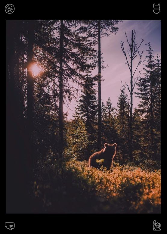 IZagoret's tweet photo. Family Park Visit: After eating their sandwiches, as night falls, they walk inside hand in hand and get into bed. Clara rests her head on Ethan’s chest, listening to his heartbeat and feeling safe and loved. She closes her eyes with a smile, knowing that tomorrow will be a new https://t.co/5Xuet5GAVt