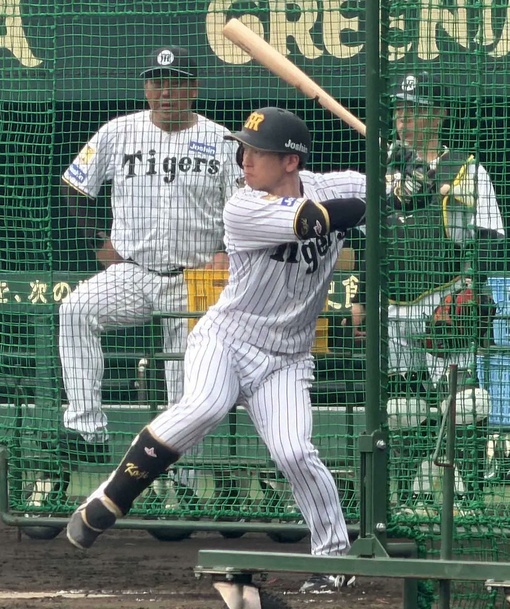 tamae_sport's tweet photo. 阪神・近本光司
球宴前の1軍復帰が決定的！ https://t.co/NXwO3RqMze https://t.co/0crNXqf5GE