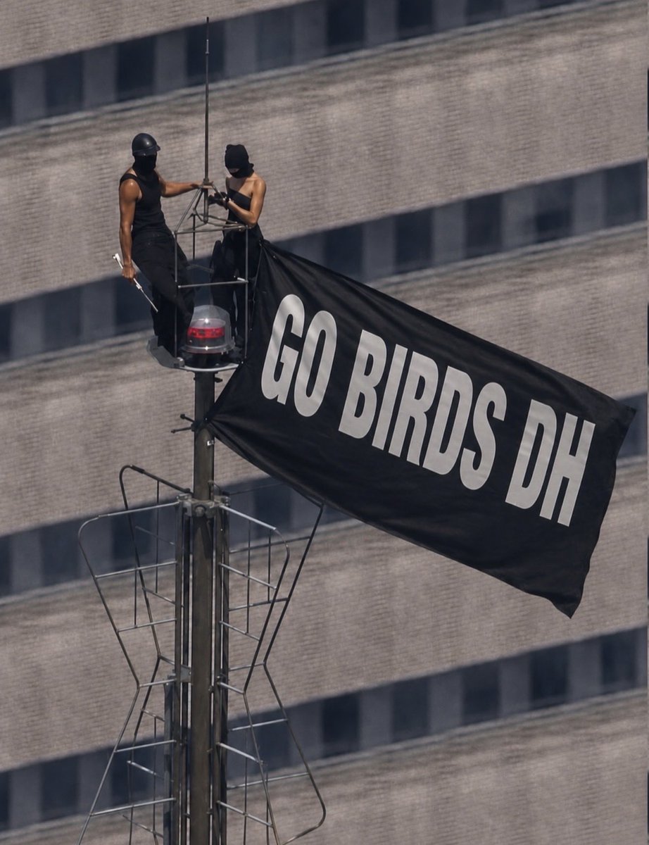 GoBirdsDHead's tweet photo. #gobirds https://t.co/7tkNINpbXA