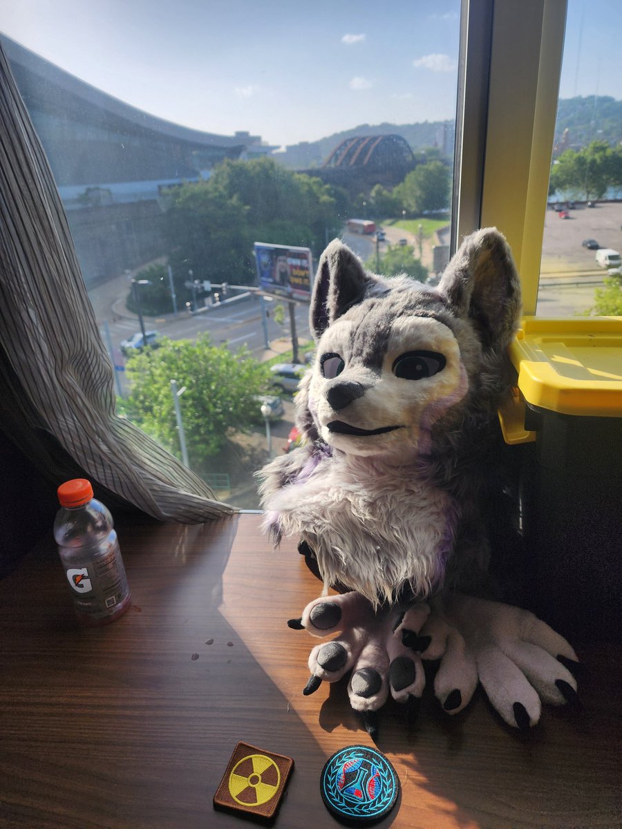 terribabble's tweet photo. First time having my own suit at #anthrocon. Just a partial, but it's me! I feel like I got a birthday gift I was begging for 😭🥹 https://t.co/CIWkrmM1lS