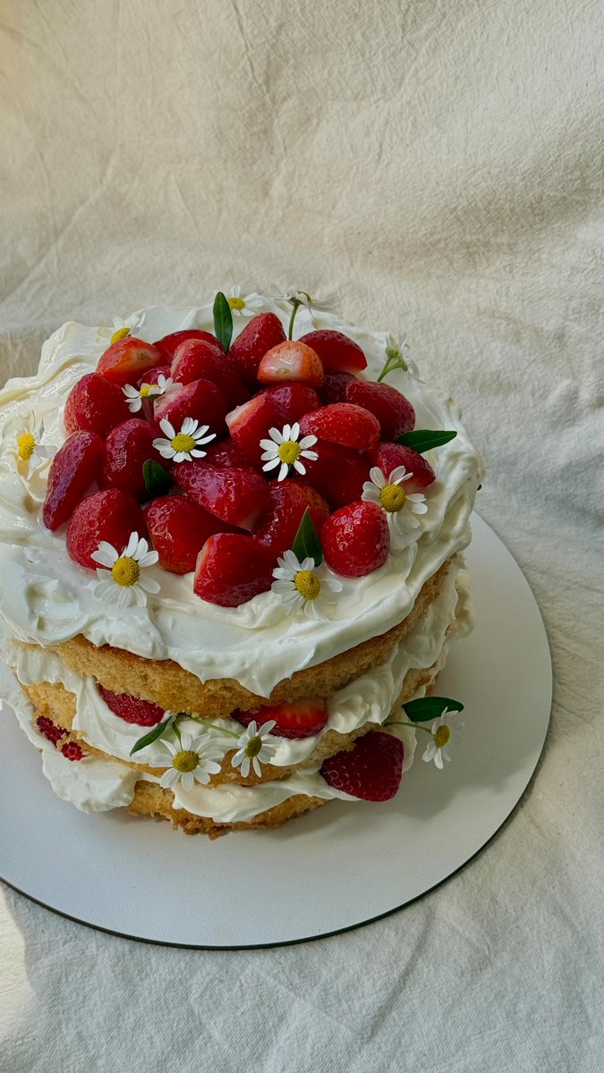 ves_cake's tweet photo. you'll not once regret choosing taking the long way home over growth https://t.co/YC33Z0usQn