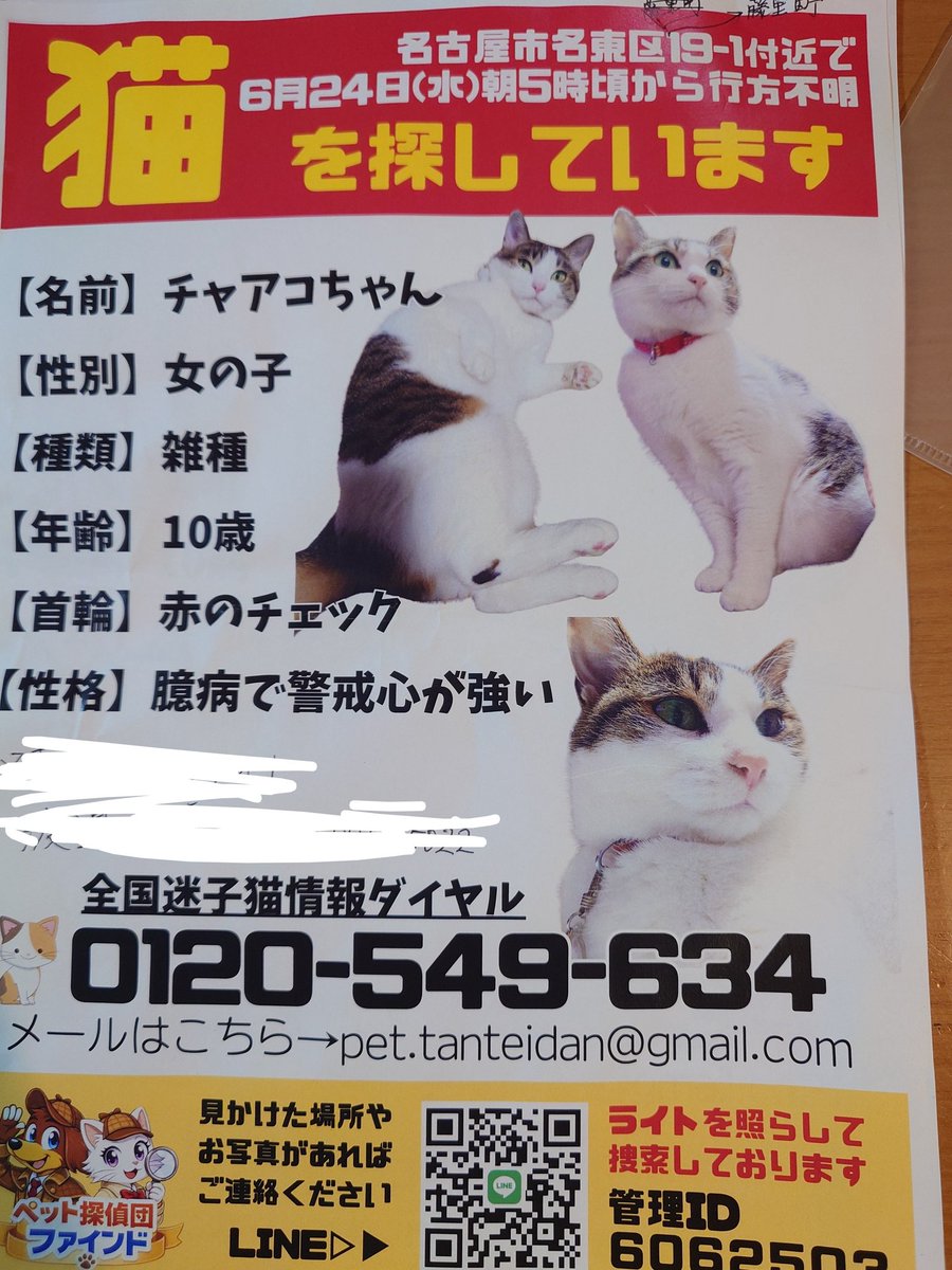 h7TW5O1qrHbLGrf's tweet photo. 迷子猫探してます。
先日もポストしましたが猫探偵に依頼してもまだ見つかりません。
名古屋市名東区藤里町付近で目撃されたりしたら教えてください。
よろしくお願いします。
#拡散希望
#リポスト希望 
#猫探してます 
#迷子猫
#迷い猫 https://t.co/lipiAWnIbc