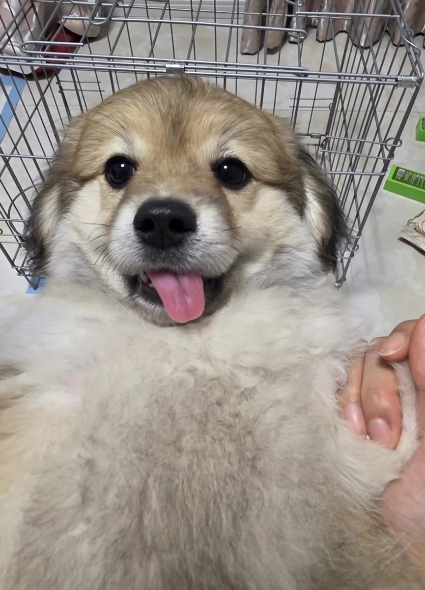 twaniimals's tweet photo. https://t.co/U0aA4eUipT