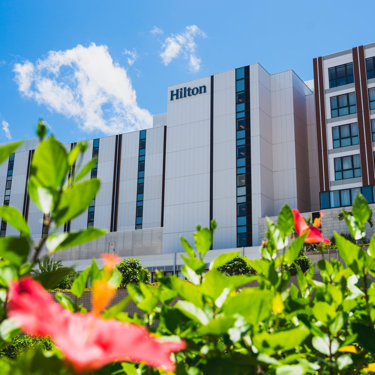hiltonchatan's tweet photo. 【開業12周年✨】
本日、ヒルトン沖縄北谷リゾートは開業12周年を迎えました😊🙏✨💕

これまでご宿泊いただいた皆さま、地域の皆さま、そして支えてくださったすべての方々に心より感謝申し上げます🙇‍♀️🙇‍♂️🙇

13年目のヒルトン沖縄北谷リゾートも、どうぞよろしくお願いいたします🌈😌🙏 https://t.co/qI4jXFBaUR