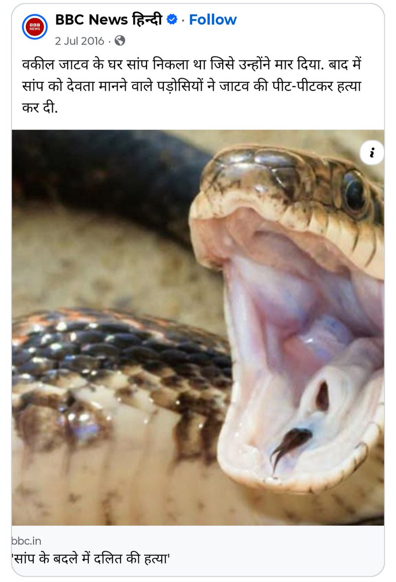 dromsudhaa's tweet photo. सांप मारना मना है। दलित को मारिये। https://t.co/bMicPokUad