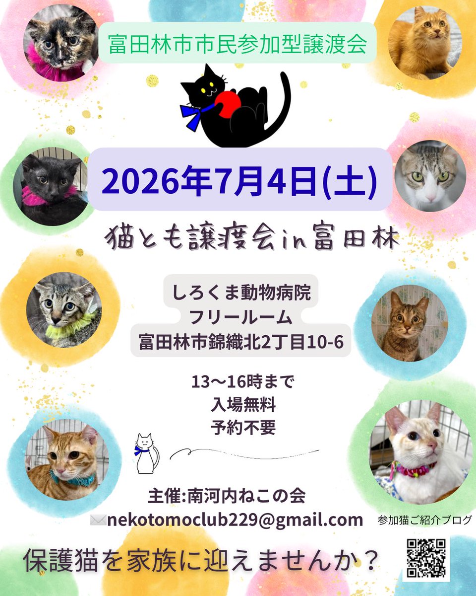 nekonohigurashi's tweet photo. ミオくんも猫とも譲渡会に参加します🐾
最近気になるというお声がちらほら、きっと幸せは近い！ミオくんをお世話されてた方と出会ったそうでおそらく6歳ということが分かったそうです。保護されてよかったと喜ばれていたそうです。あとは里親さんに出会うだけ！頑張れミオくん🚩 https://t.co/ArfdqWSqnu