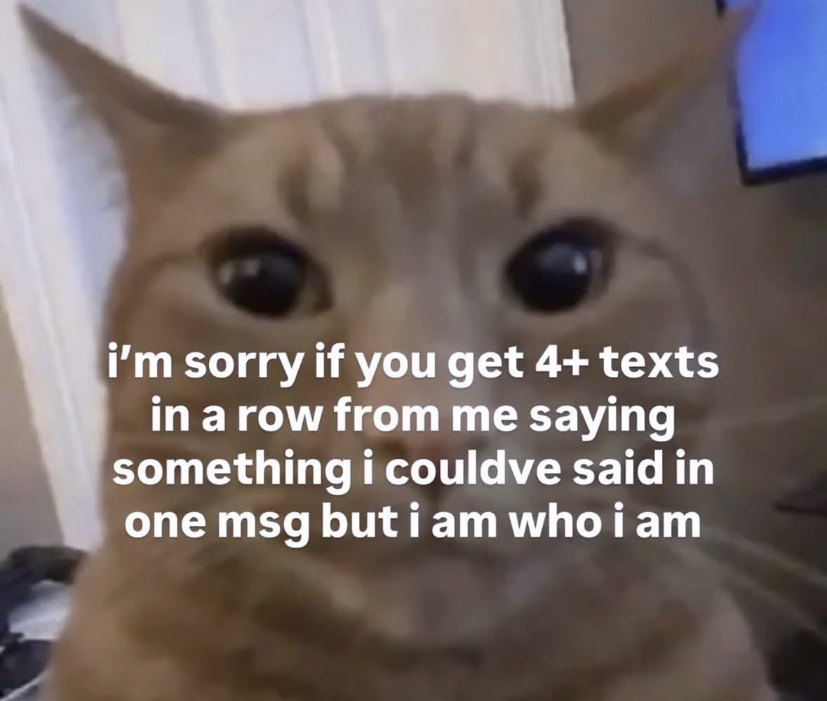 literallymecats's tweet photo. https://t.co/czfEjkkkF7