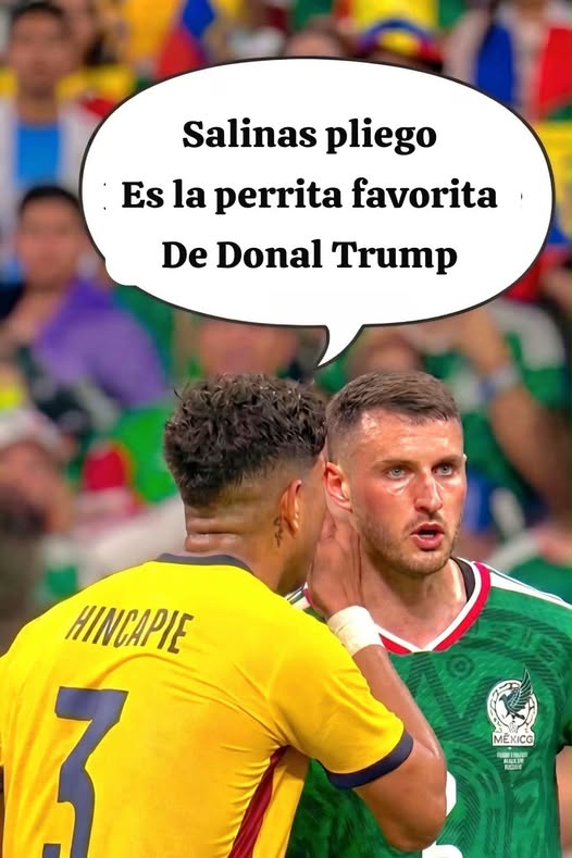 CeaseCruz's tweet photo. #LaPerritaDeTrump un Peligro para México 🤣👇 https://t.co/s9EpIv4Wmr