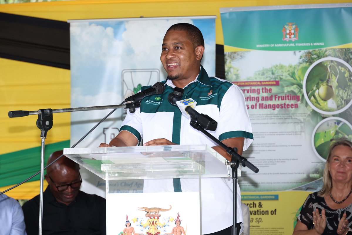 moafjm's tweet photo. Today marked the official reopening and handover of the revitalized Castleton Botanical Gardens in St. Mary under the "A Jamaican Path from Hills to Ocean" Project.
#MOAFM #Hills2OceanJA #CastletonBotanicalGardens https://t.co/paff3pCU52