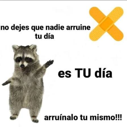 vashmir's tweet photo. @Tenvid_san pinta bien la cosa, si... A ver si se comen unos buenos juicios.
El lema en las oficinas de Sony debe de ser este xD https://t.co/Z7dDpVqvKy