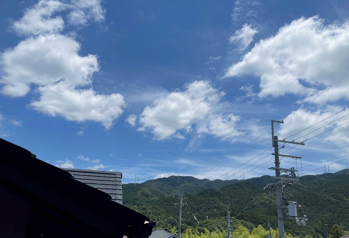 mollygladden's tweet photo. おつ🍛
今日は一日晴れだ。
昨日の夜、老体に鞭打って洗濯しておいていがった〜🧺
世の共働きの奥さま方、ほんと尊敬。
好きな男じゃねえどやってらんねーよな😮💨
晴れだし竿握るか、、、🍣🍣
と思ったら満席がよ、、ふっざげんなぁぁぁぁ
みんな一生懸命だな、身になるがは別にして、、、🫨 https://t.co/CuIRbJVsJD