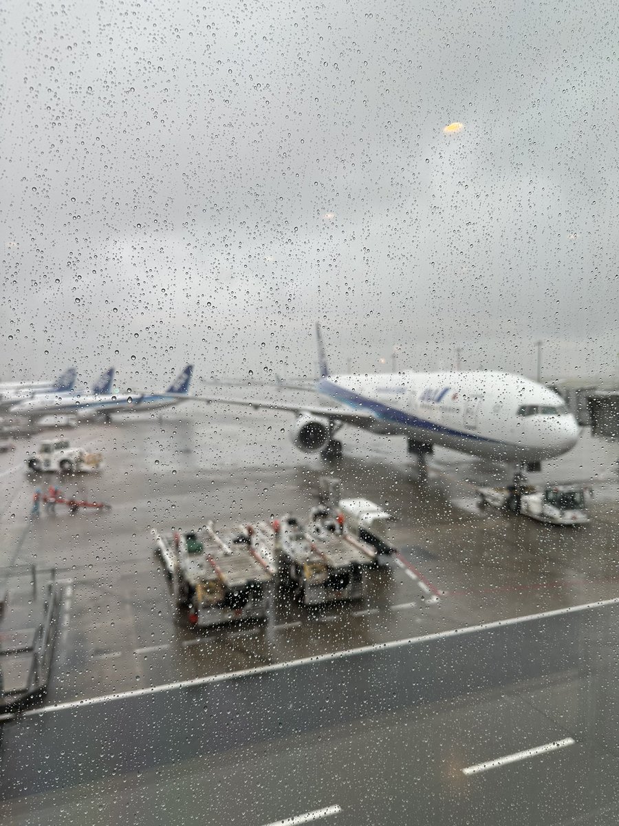 wtvuaim's tweet photo. おはようございます https://t.co/eBNkDajez8