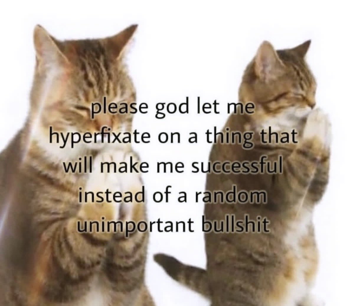literallymecats's tweet photo. https://t.co/XWAAiwXqxG