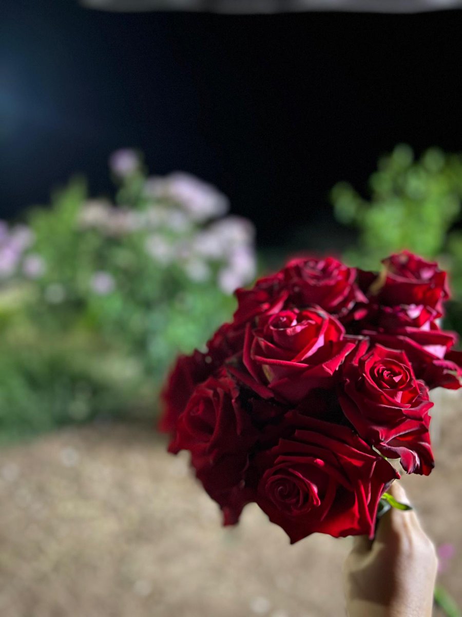 Naziremmm00's tweet photo. Aşkın temsili kırmızı gül... 
Bahçemde en az dikeni olan ulaşılması çok kolay ama kokusu yok sadece güzel görünüyor.. https://t.co/Psh4dEY09B