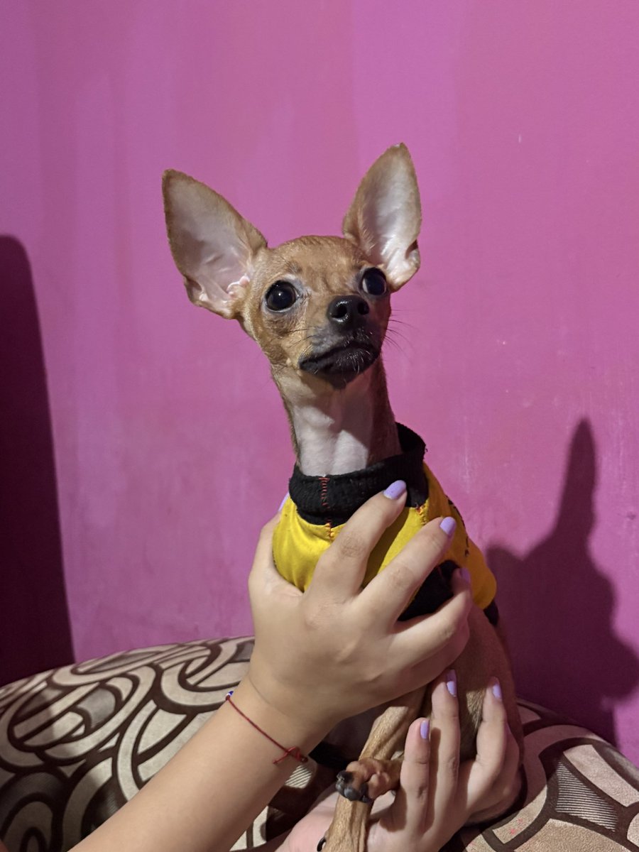 ekusernamee's tweet photo. Te amo mi rockie🥰 https://t.co/aIKJiwmlZw
