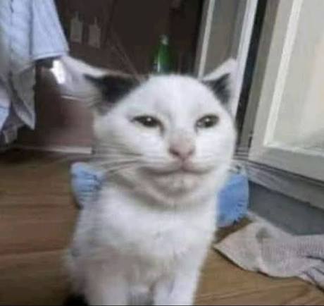 TestThehuman tweet picture