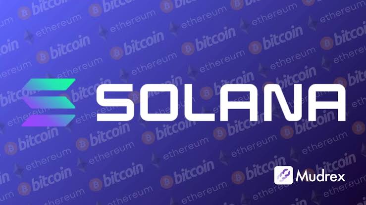 milolounge_'s tweet photo. Solana's going wild, price is expected to jump even higher, can it keep the momentum? 😅

#CryptoNews #Solana #SolanaCommunity #Cryptocurrency #Blockchain https://t.co/BXey4zsaB8