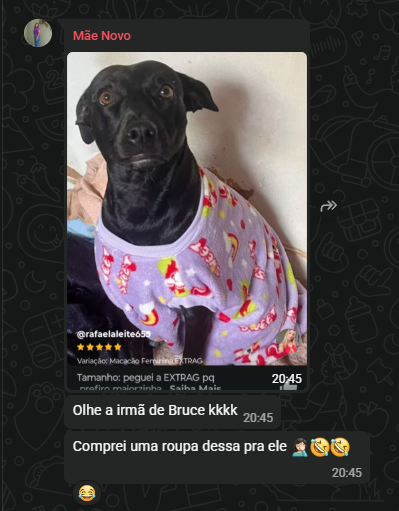 diasdayx's tweet photo. essa é  mesma senhora que não queria o cachorro e ameaça por na rua toda semana https://t.co/79ohHNDfO3