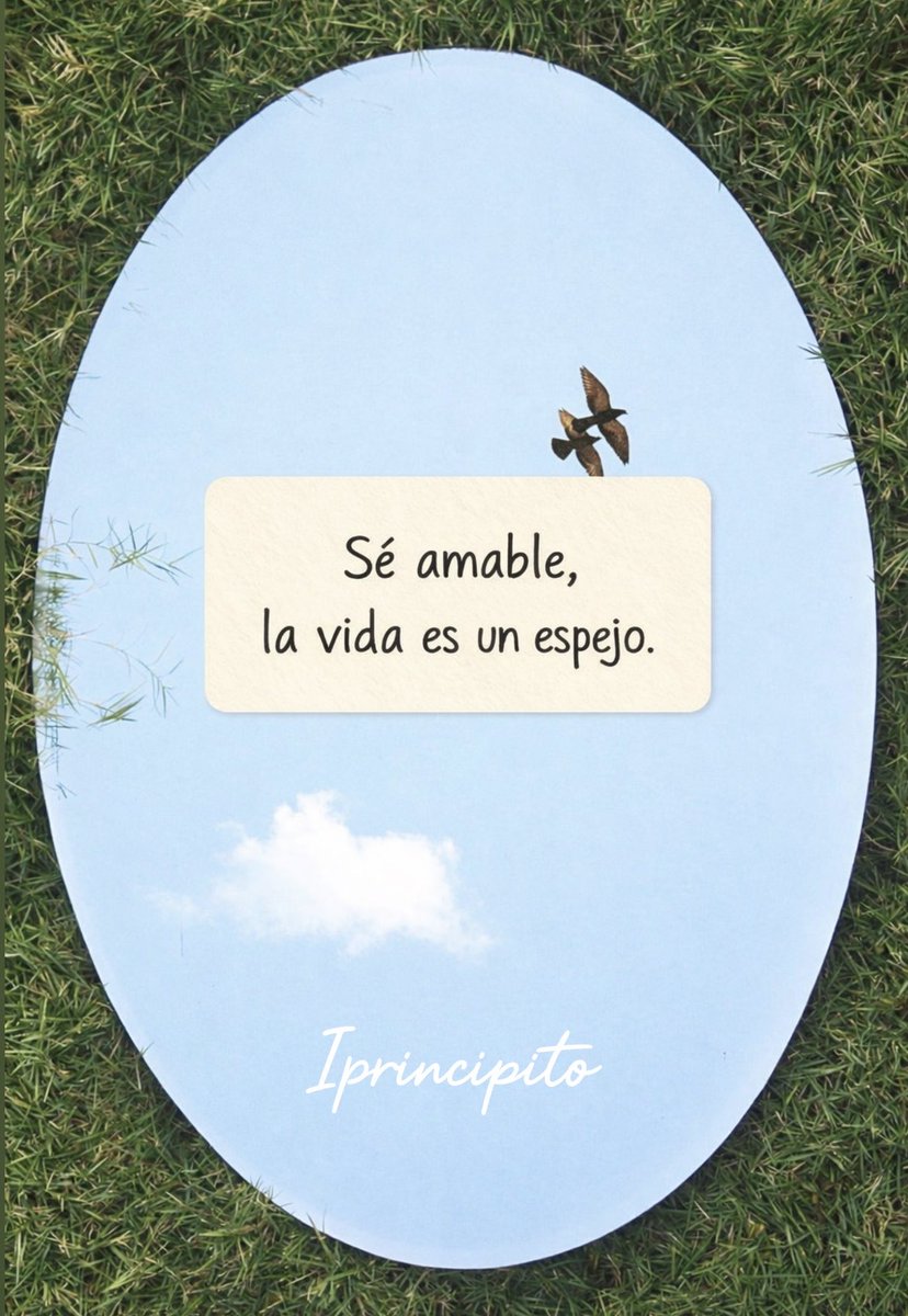 iPrincipito's tweet photo. 📩✨ https://t.co/mj4TLdVIul