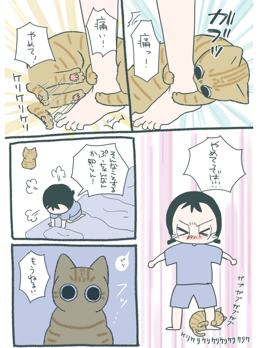 neekonoo's tweet photo. ナチュラルに沼らせてくる猫のぷーちゃん
(1/2) https://t.co/vbVAuw2dJm