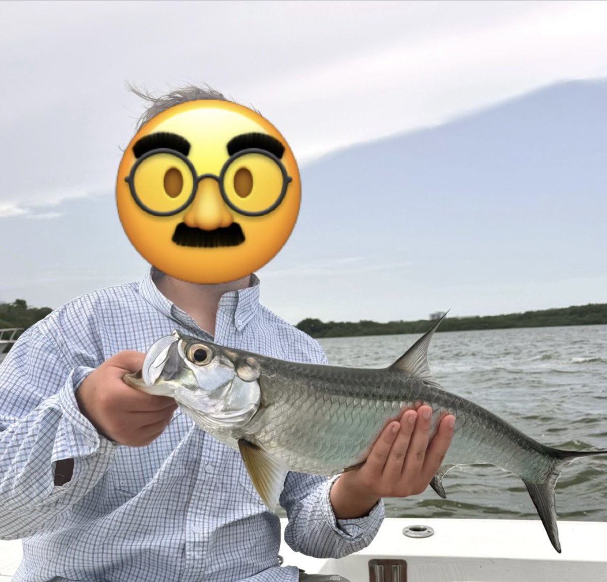d1ck_coffee's tweet photo. Caught a tarpon on a fly today, it was awesome https://t.co/6f09mSyEPN