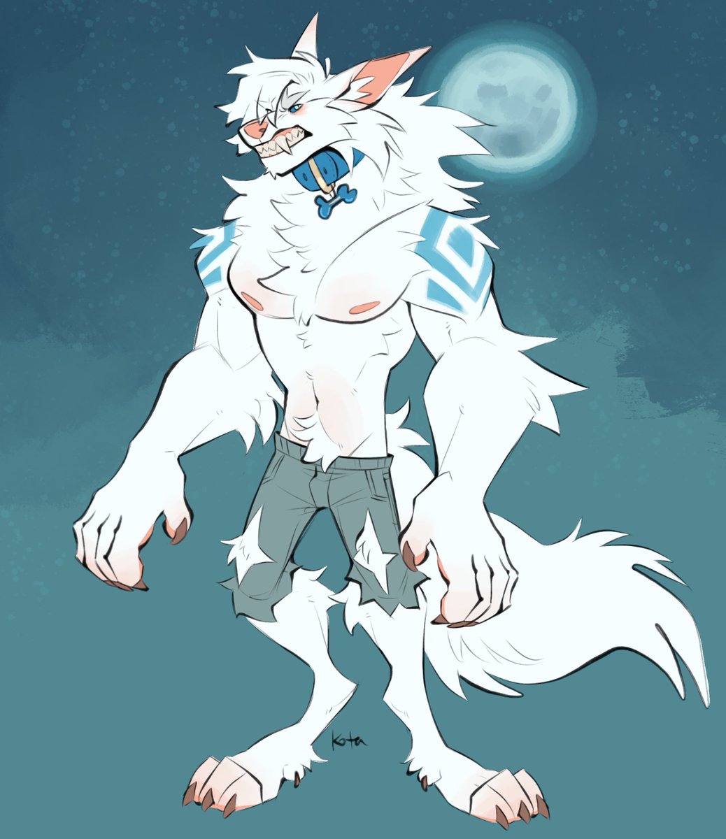 Kotacat4's tweet photo. Have you seen this werewolf? He’s not missing or anything, I just think everyone should see him https://t.co/7yJJbsIPCT