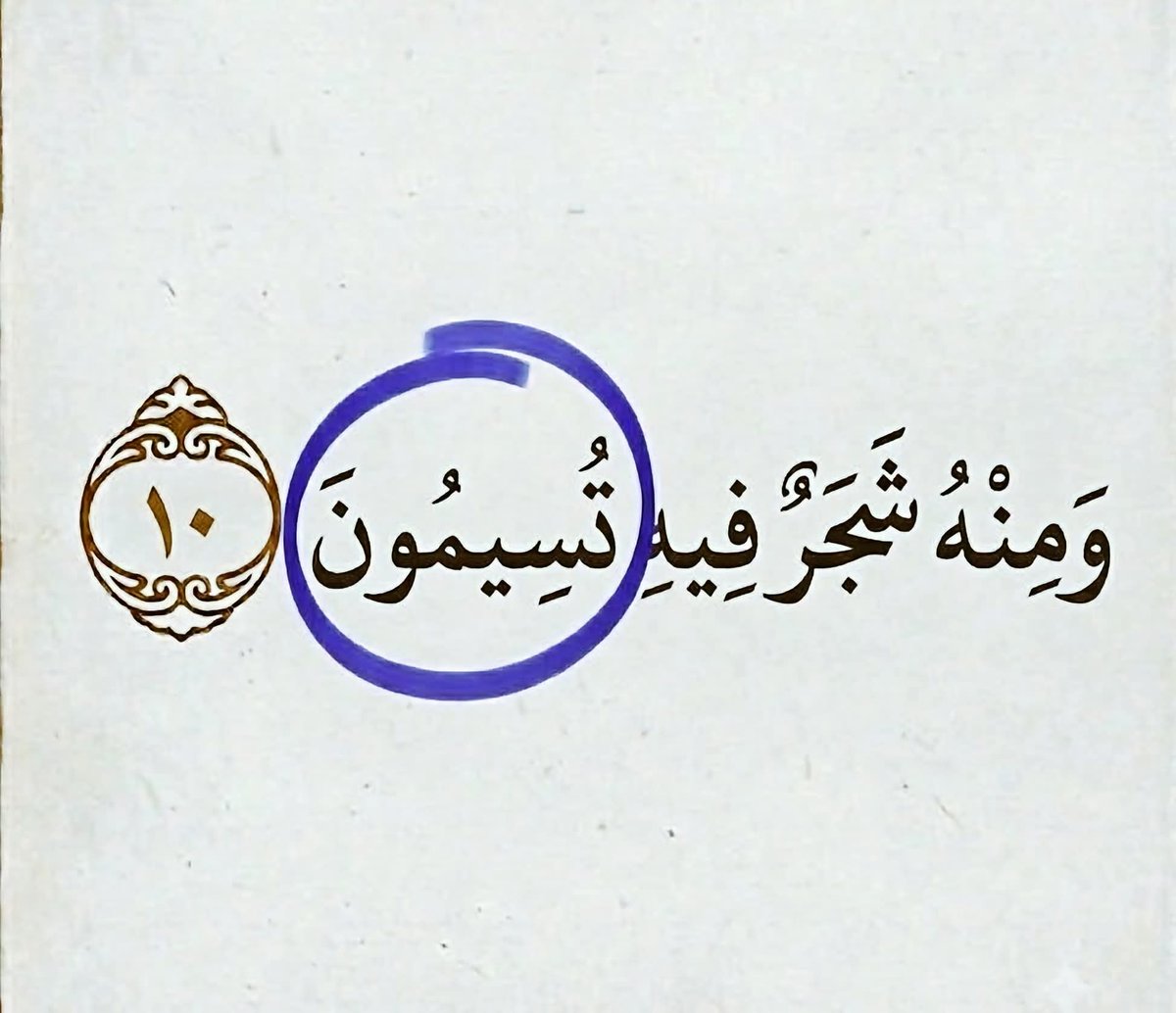 baqrt_l's tweet photo. ما معنى كلمة (تُسِيمُونَ ) المذكوره في الآية.؟ https://t.co/04kCqZgW60