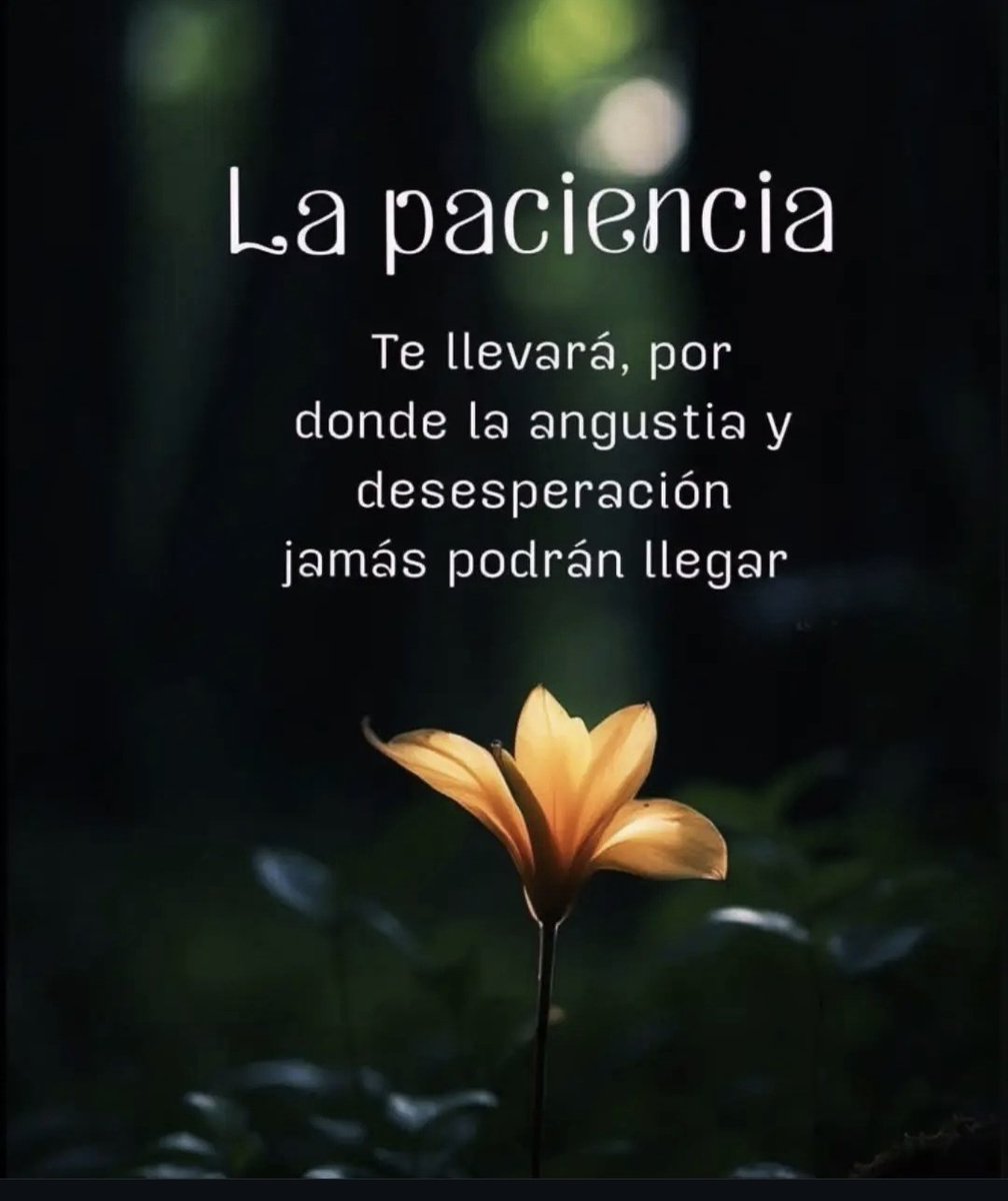 nemecistorres's tweet photo. https://t.co/f548p81Nc4