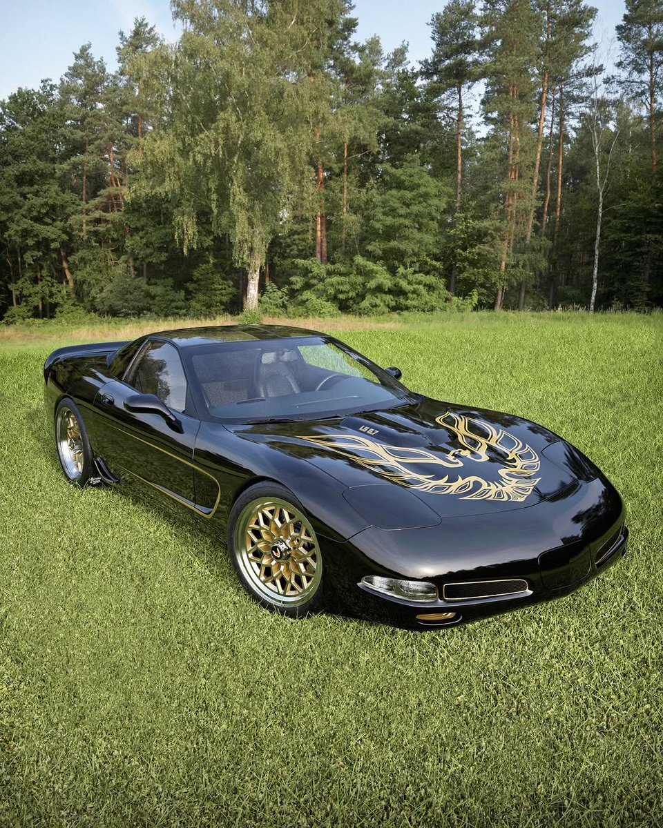 mascdaily's tweet photo. Corvette🖤⭐ https://t.co/2cuC60SLpP