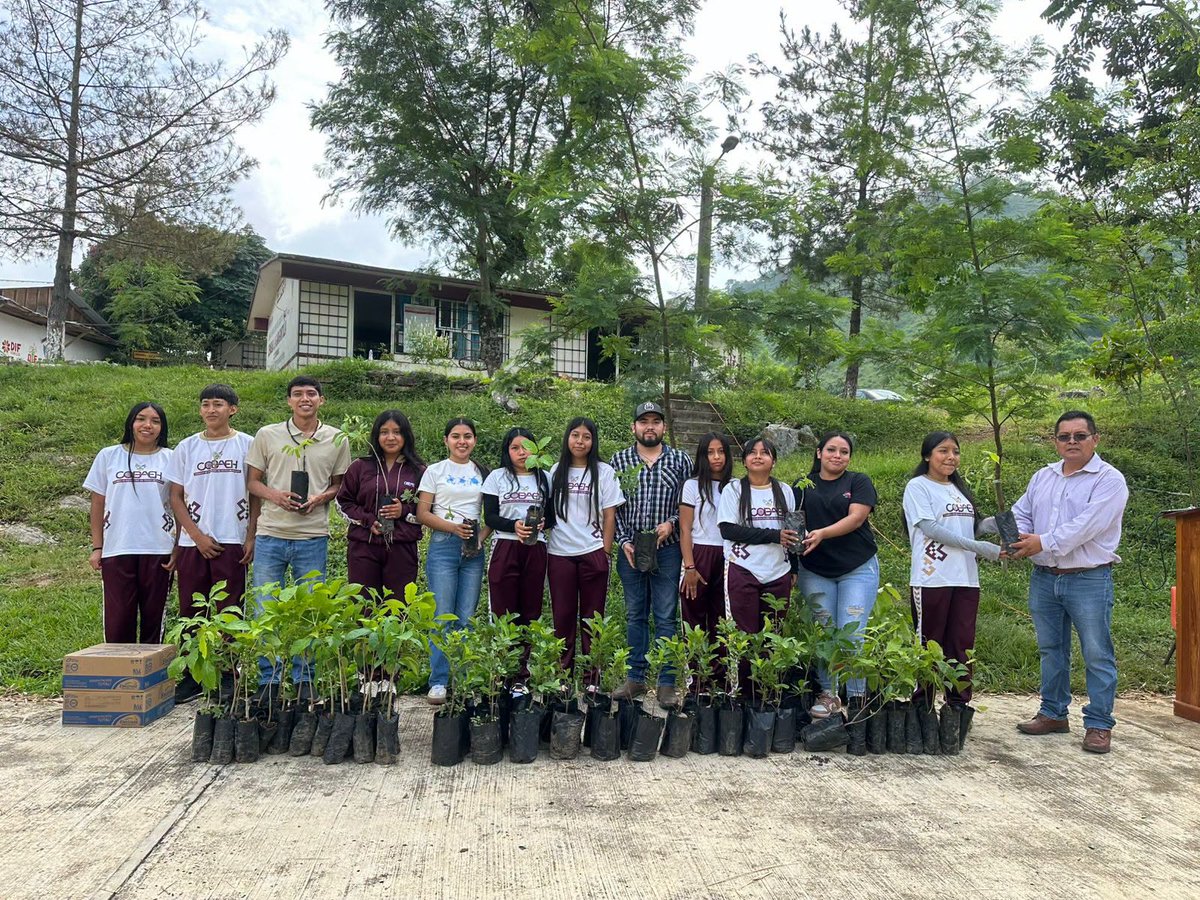 EstadoTrece's tweet photo. Pisaflores distribuye árboles maderables y frutales en planteles educativos. 🌳🌱
Los pormenores del programa de reforestación comunitaria aquí: 👇
https://t.co/0YT8J3qKkc
#Pisaflores #Ecologia #Educacion #Reforestacion #Estado13 https://t.co/Ma20bFuMOR