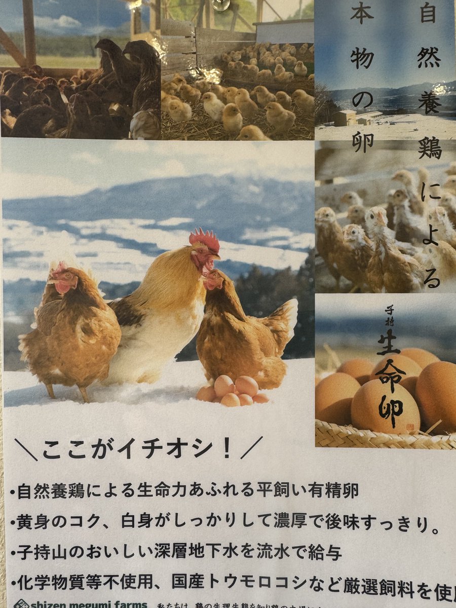 kouka326's tweet photo. おはようございます！

本日きまぐれ限定でカルボナーラ卵かけめんやります。
大盛、特盛有ります。大盛り以上は卵追加推奨です。

本日の限定
カルボナーラ卵かけ麺
鰹と鯵煮干しそば

11:30より営業します。 https://t.co/aTQWM1FRH6