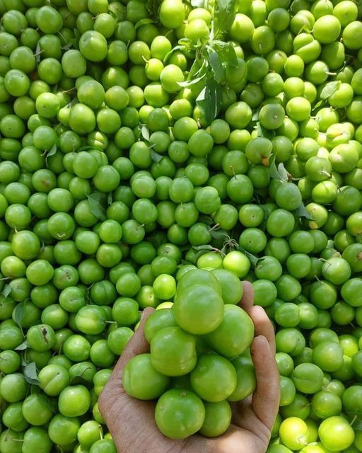 greenvibe's tweet photo. A handful of green, a handful of happiness. https://t.co/GI29TiJ7ok