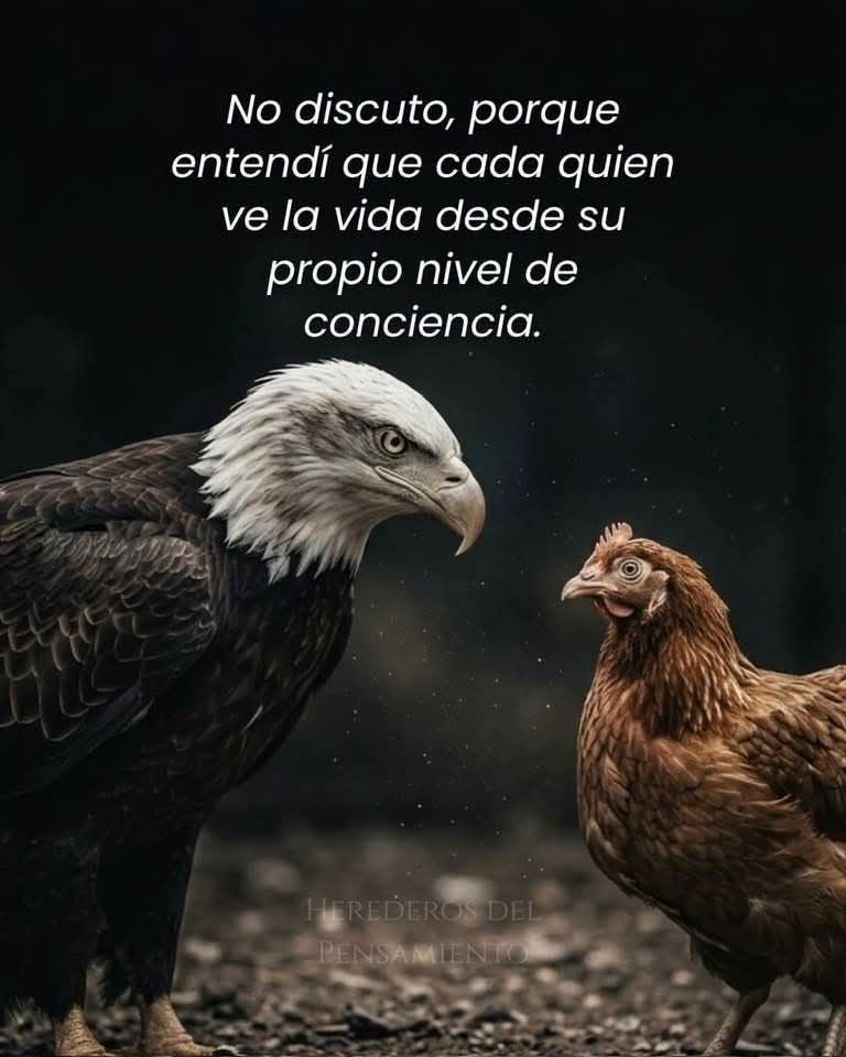 nemecistorres's tweet photo. https://t.co/p9mdS1DAoZ