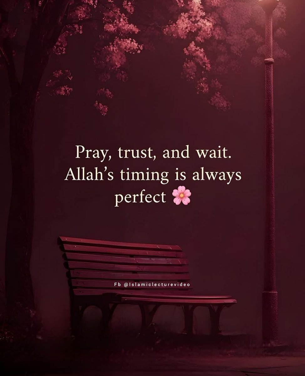 HotiQamar's tweet photo. https://t.co/eWDqzXbD6u