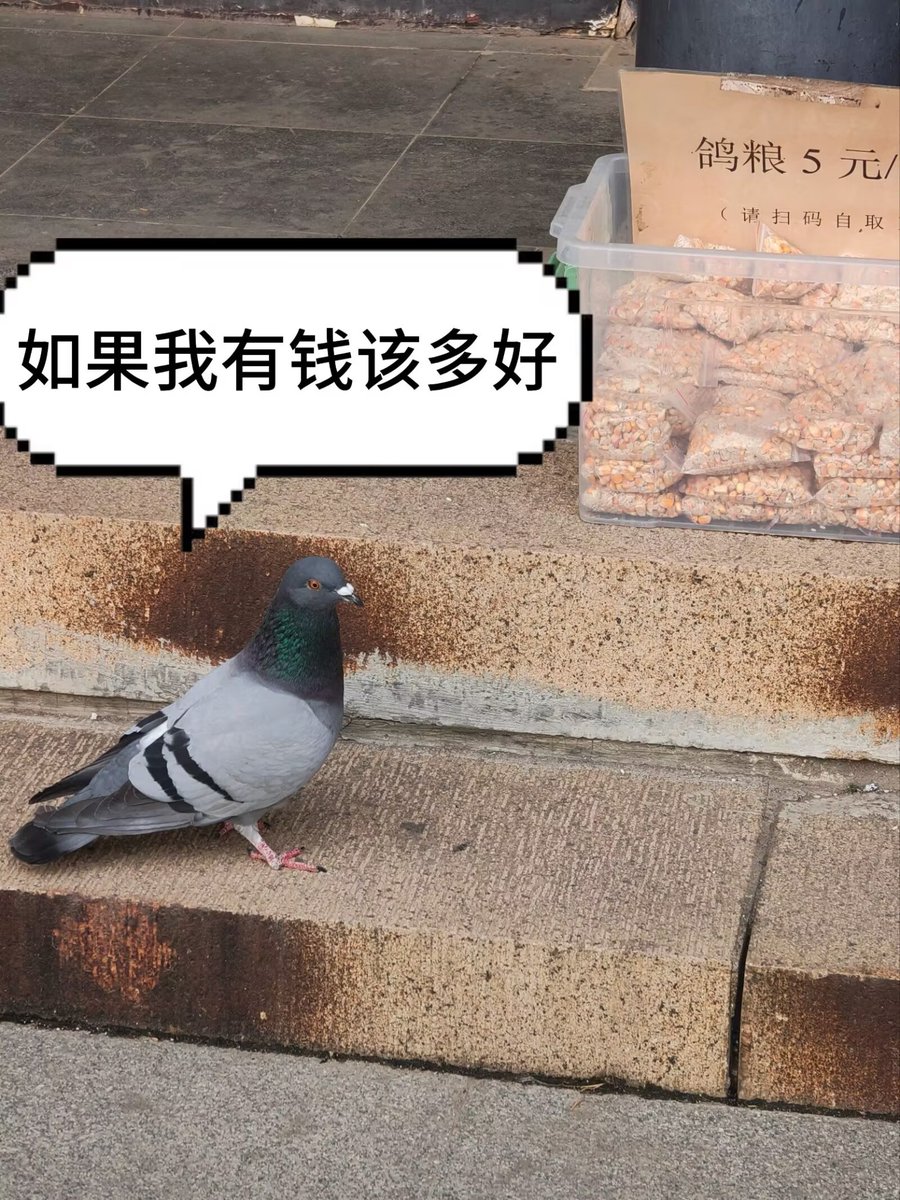 YunJiu's tweet photo. 鸠子… https://t.co/eui3akRnOj
