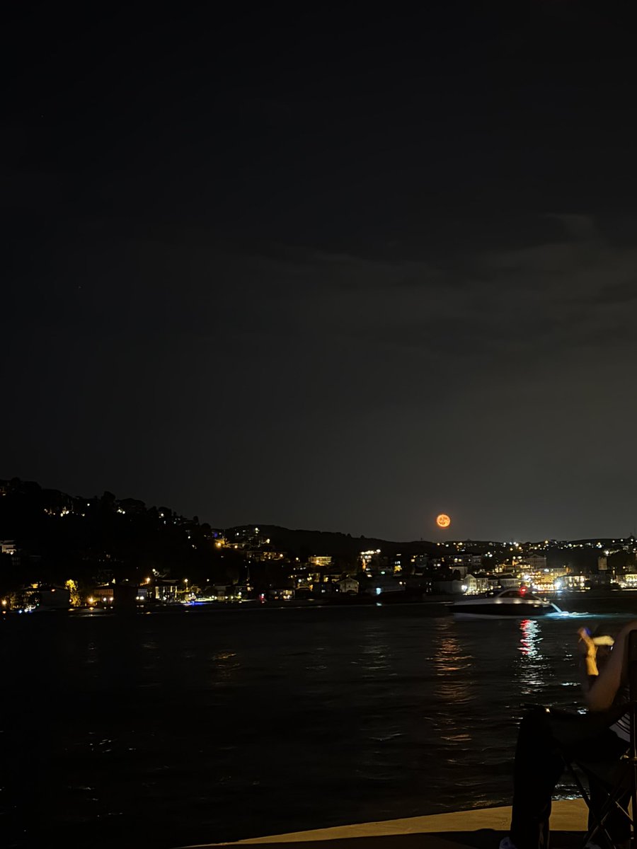erkal101's tweet photo. Hayatta bazı kapılar kapanmaz, sadece bir süre sessiz kalıyor #iyigeceler https://t.co/HvX1GSOyC3