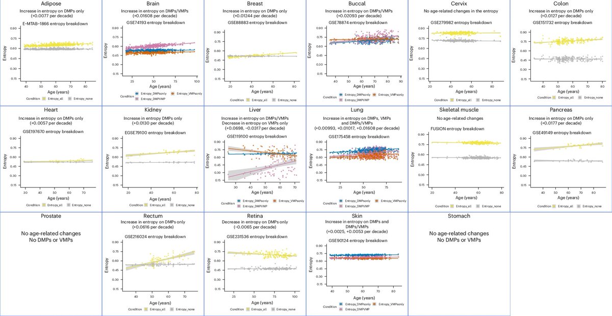 ydeigin's tweet photo. First, the entropy increase observed in this latest paper is tiny in most tissues and even absent in several (see attached). But even if it were large, it would only argue against a perfectly deterministic program, which nobody claims. Basically if there is a stochastic component on top of a program, it can drive entropy increase with age.

Development is programmed, yet puberty timing varies between individuals, and menopause occurs over an even wider age range — so here’s your increasing variability between people.