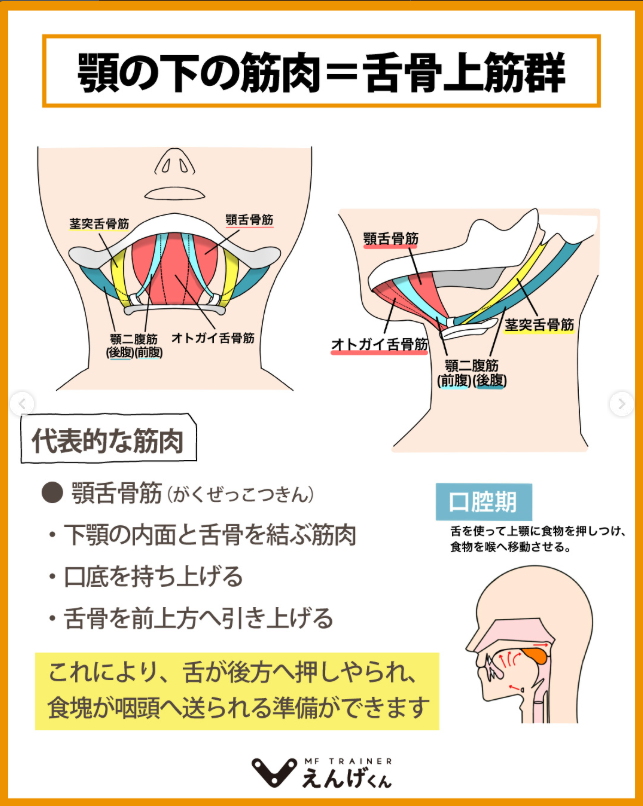 medi_hollseller's tweet photo. 高齢者の飲み込みが心配…
舌の筋肉を鍛えて誤嚥を防ぎたい！  
そんな方にぴったりなのが**「えんげくん」**  あごを乗せるだけでEMSで舌骨上筋群をしっかり刺激！
テレビ見ながら、考えず毎日続けやすい設計です。 

高齢のご家族や施設利用者様にぜひ!

詳細、ご購入は↓
https://t.co/J6ybziKcnZ

#えんげくん #嚥下トレーニング #誤嚥予防 #介護用品