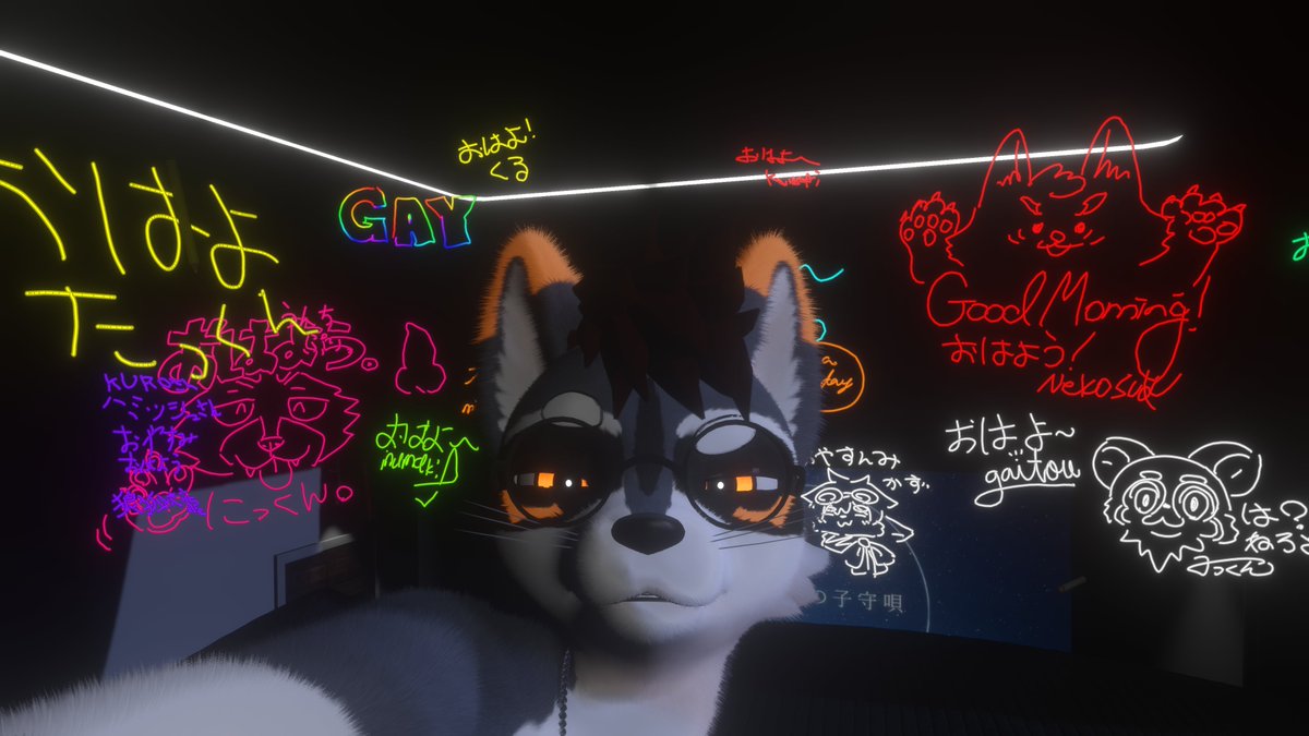 くろ・ざ・らくーん 🦝📸 tweet media