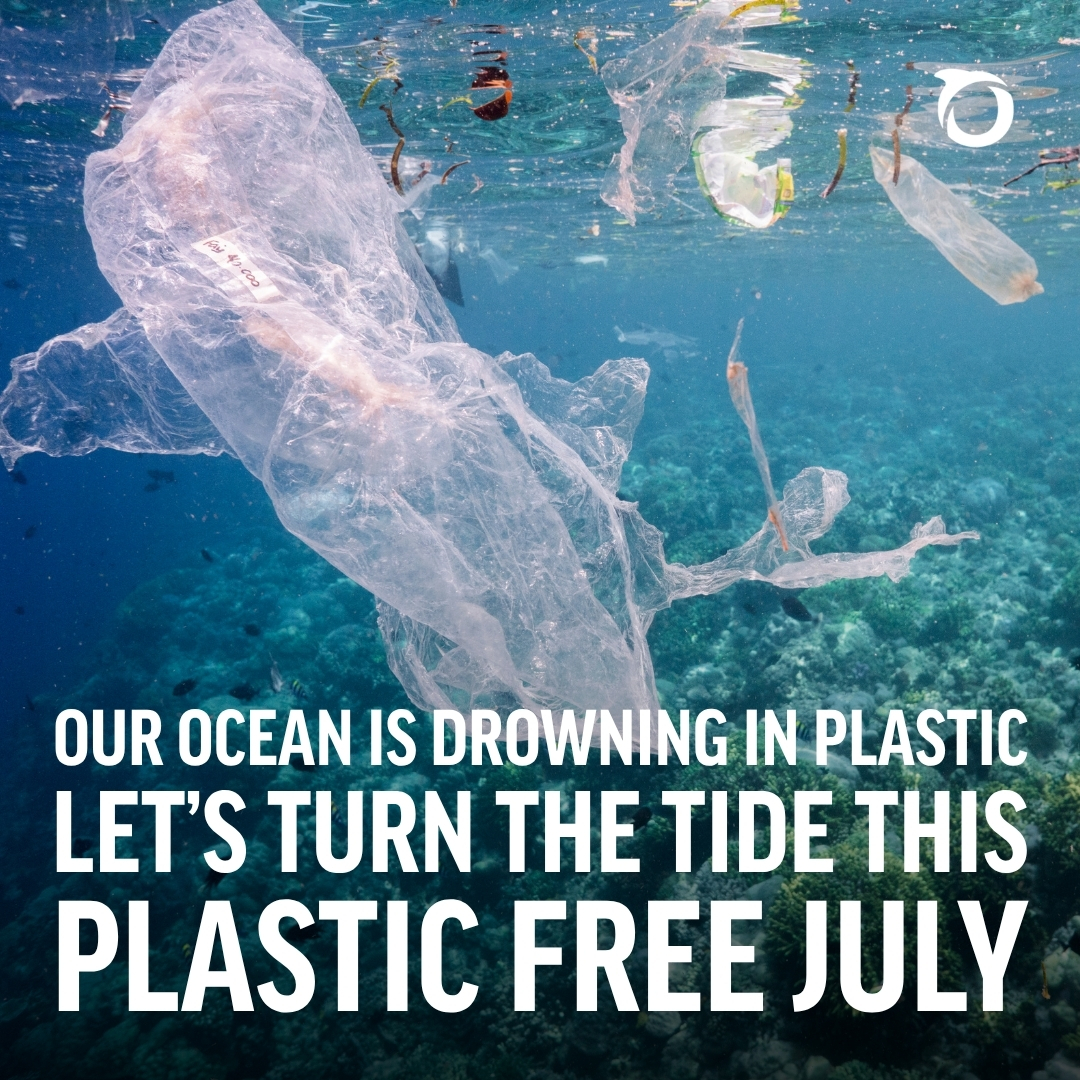 oceana's tweet photo. Plastic pollution is choking our oceans, washing up on the world’s most remote coastlines, and sitting at the deepest points of the ocean floor.

But it doesn't have to be this way. This #PlasticFreeJuly, pledge to help protect marine life and our oceans: https://t.co/rZxBIlVHHs https://t.co/UtWtPLNheE